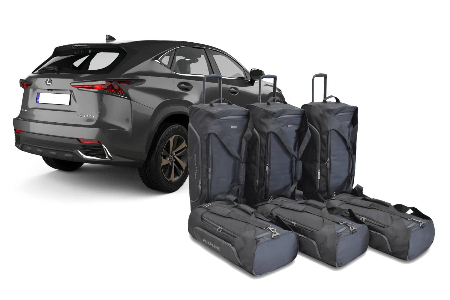 Reistassenset geschikt voor Lexus NX I (AZ10) 2014-2021 Pro.Line
