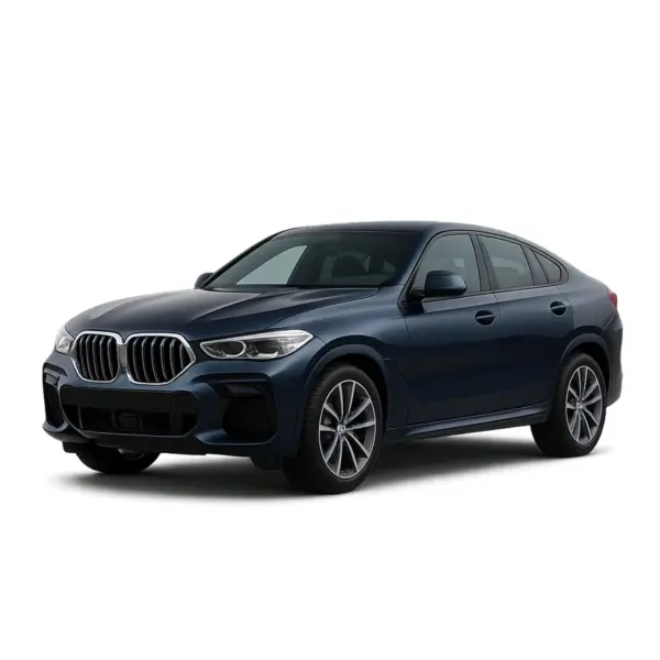 Dakdragers voor BMW X6
