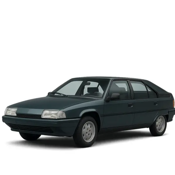 Dakdragers voor Citroën BX