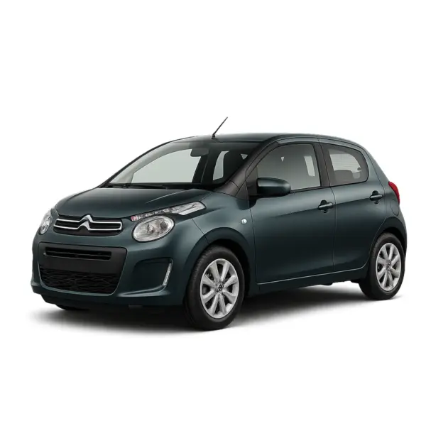 Dakdragers voor Citroën C1
