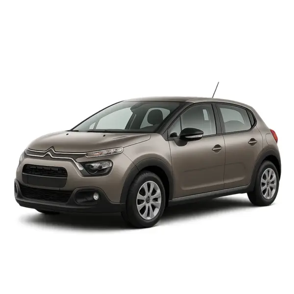 Dakdragers voor Citroën C3