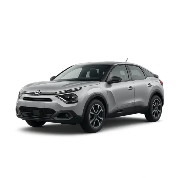 Dakdragers voor Citroën e-C4