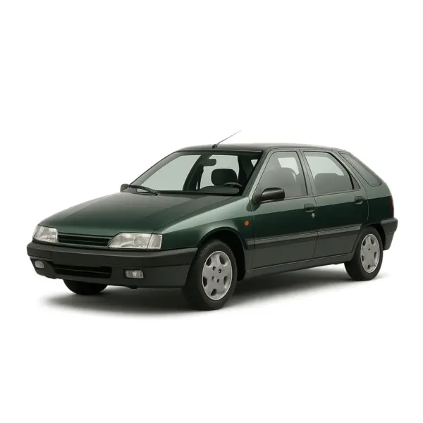 Dakdragers voor Citroën ZX
