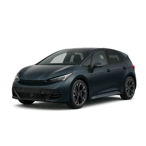 Dakdragers voor Cupra Born