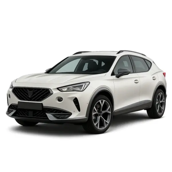 Dakdragers voor Cupra Formentor