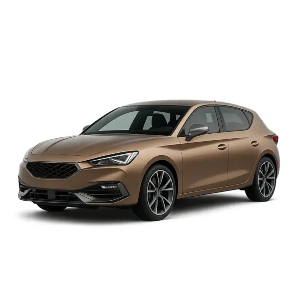 Dakdragers voor Cupra Leon