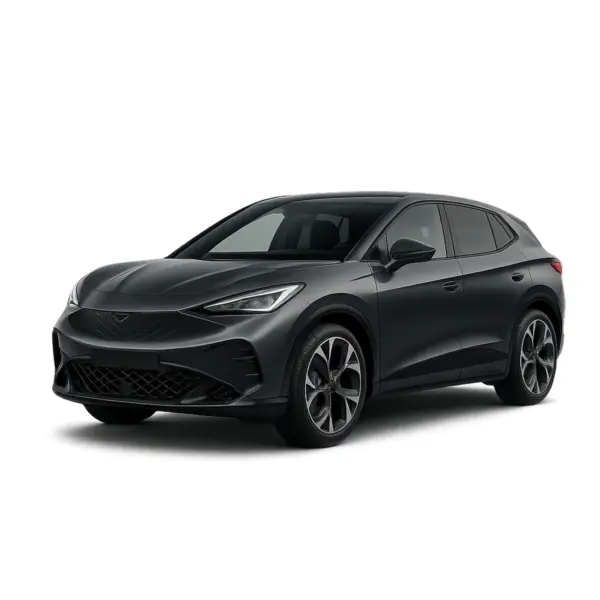 Dakdragers voor Cupra Tavascan