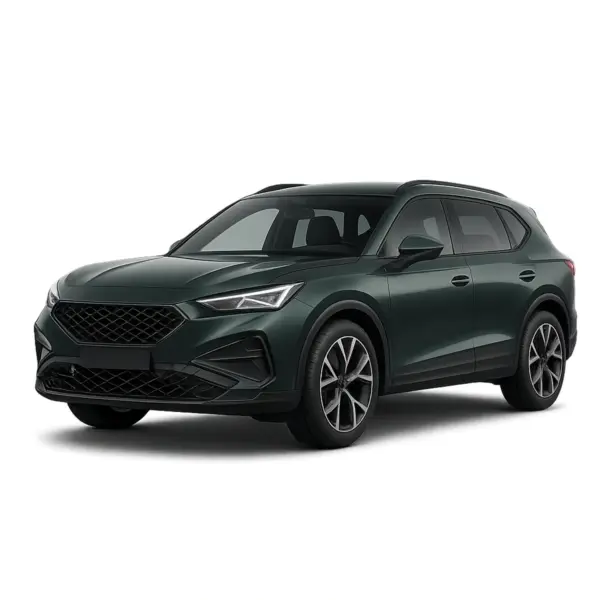 Dakdragers voor Cupra Terramar