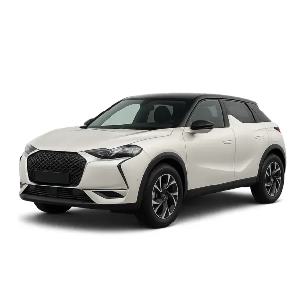 Dakdragers voor DS DS3
