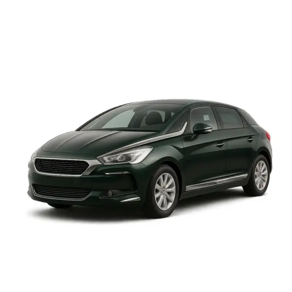 Dakdragers voor DS DS5