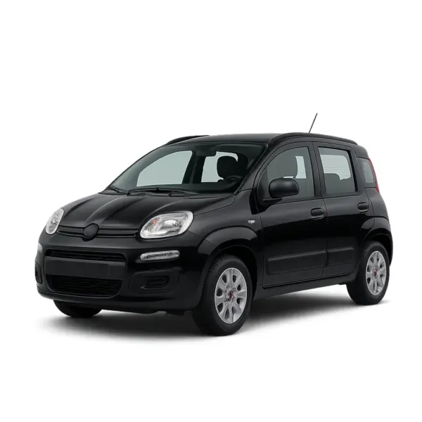 Dakdragers voor Fiat Panda