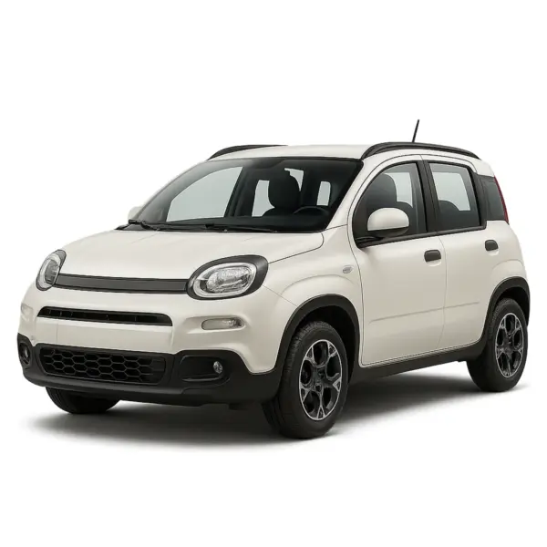 Dakdragers voor Fiat Pandina