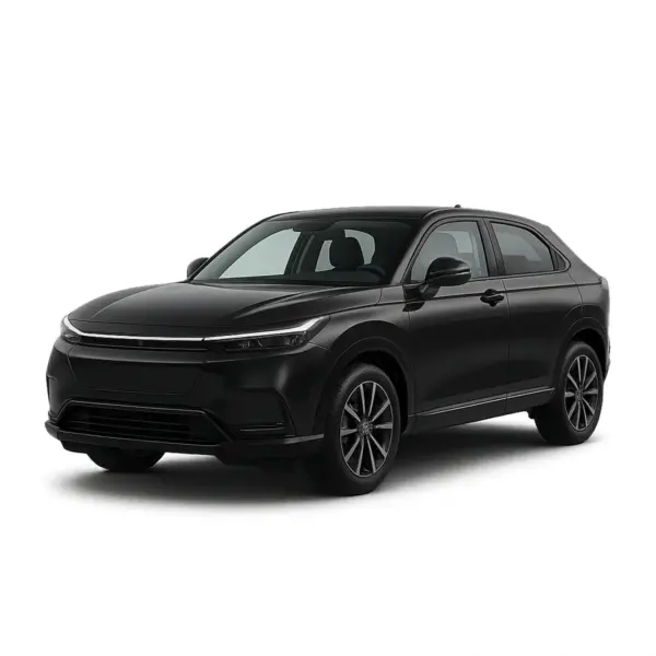 Dakdragers voor Honda E:NY1