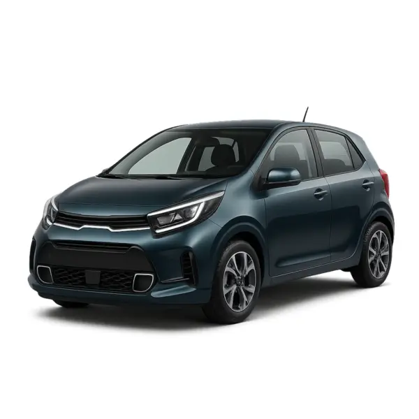 Dakdragers voor Kia Picanto