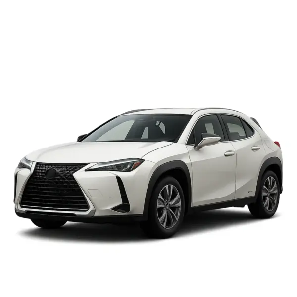 Dakdragers voor Lexus UX Serie