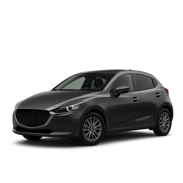Dakdragers voor Mazda 2
