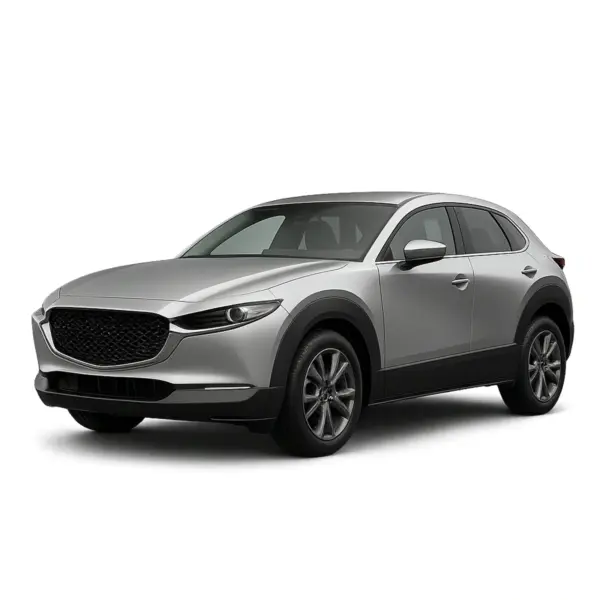 Dakdragers voor Mazda CX-30