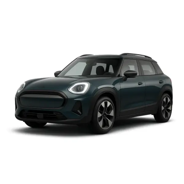 Dakdragers voor Mini Aceman