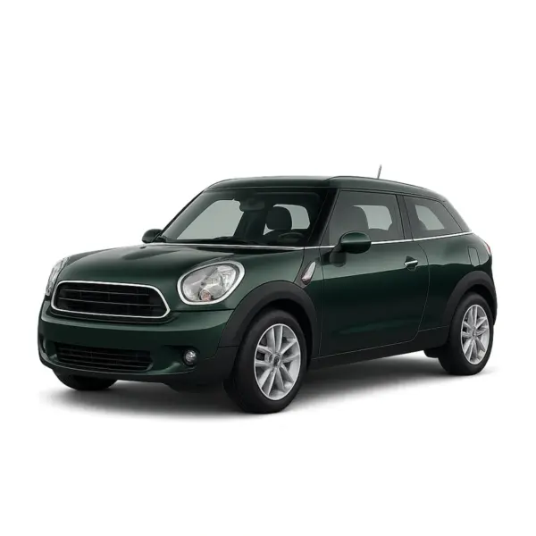 Dakdragers voor Mini Paceman