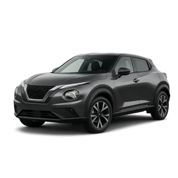 Dakdragers voor Nissan Juke