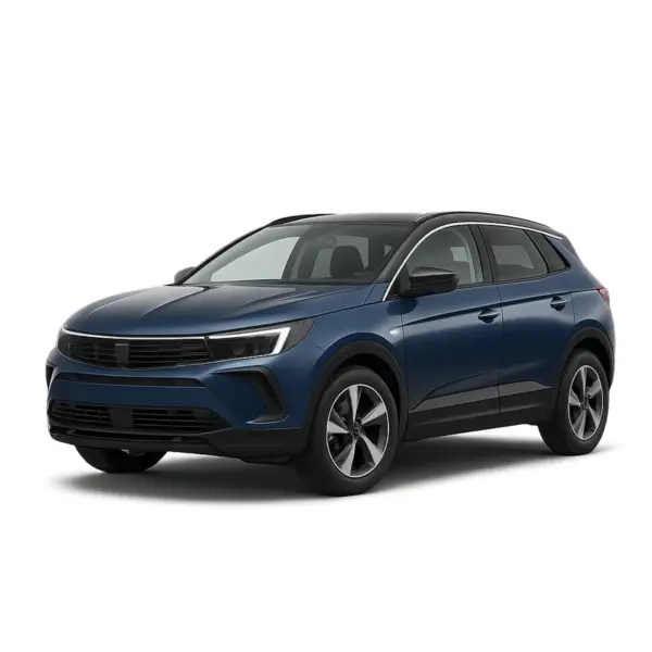Dakdragers voor Opel Grandland