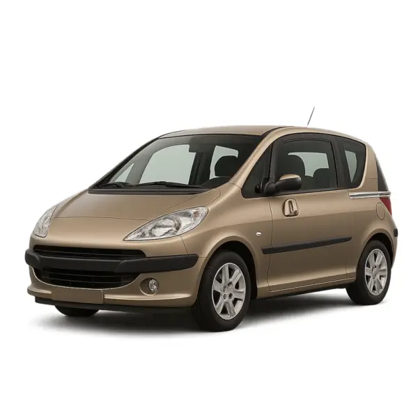 Dakdragers voor Peugeot 1007