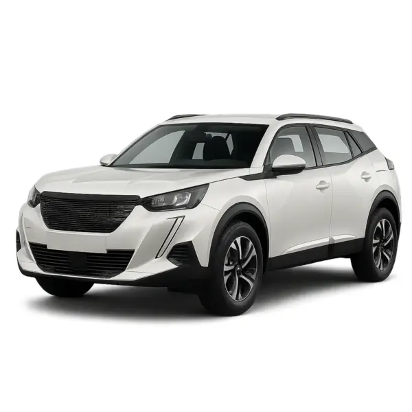 Dakdragers voor Peugeot 2008