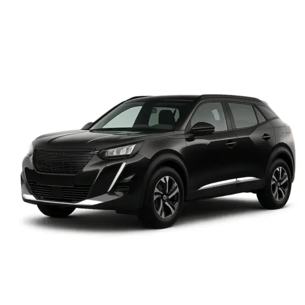 Dakdragers voor Peugeot 2008 vanaf 2019