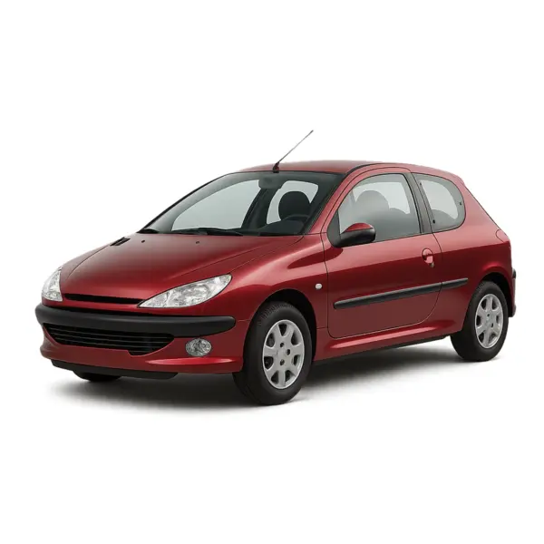 Dakdragers voor Peugeot 206