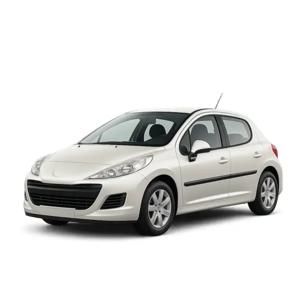 Dakdragers voor Peugeot 207