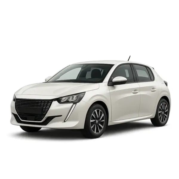 Dakdragers voor Peugeot 208