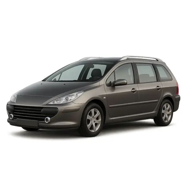 Dakdragers voor Peugeot 307 SW