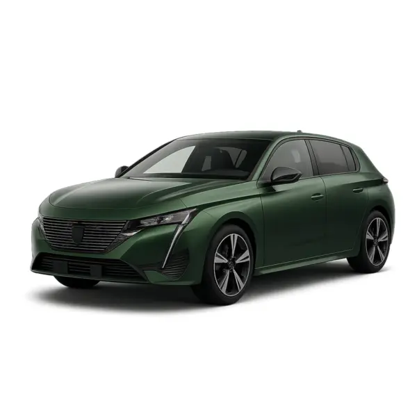 Dakdragers voor Peugeot 308