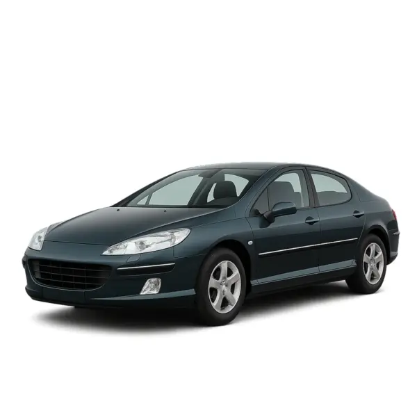 Dakdragers voor Peugeot 407