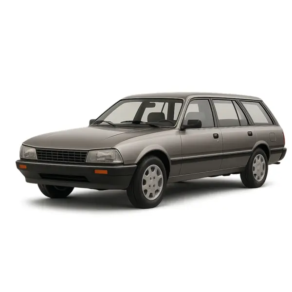 Dakdragers voor Peugeot 505 SW