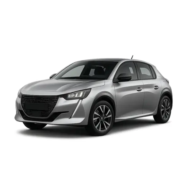 Dakdragers voor Peugeot E-208