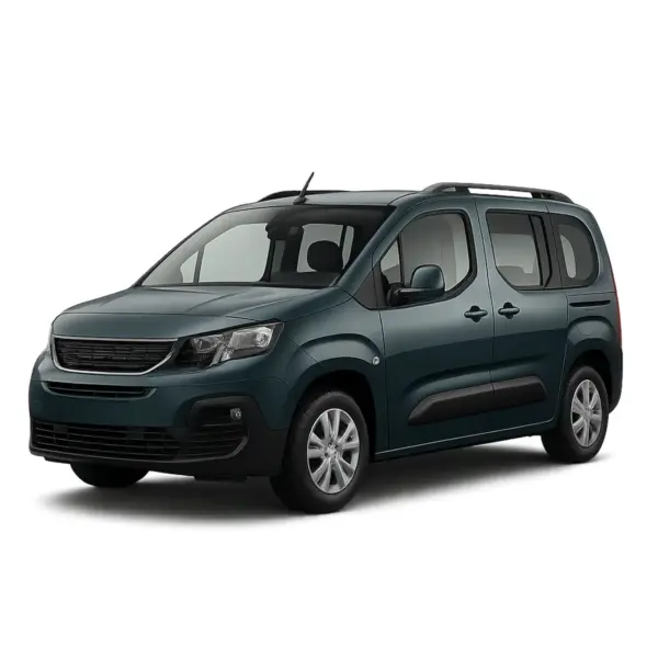 Dakdragers voor Peugeot Partner III/Rifter