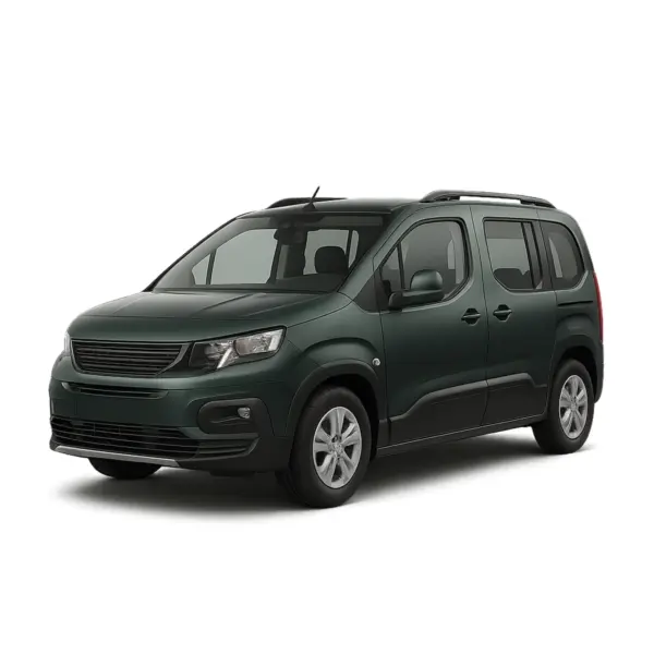 Dakdragers voor Peugeot Rifter