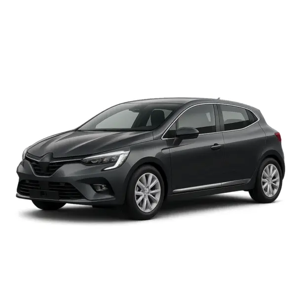 Dakdragers voor Renault Clio