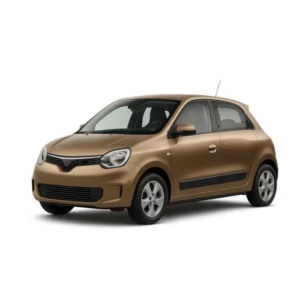 Dakdragers voor Renault Twingo