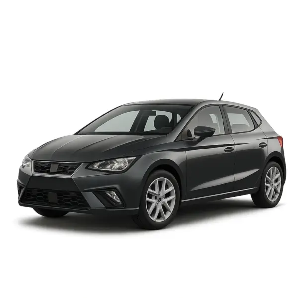 Dakdragers voor Seat Ibiza