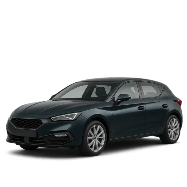 Dakdragers voor Seat Leon
