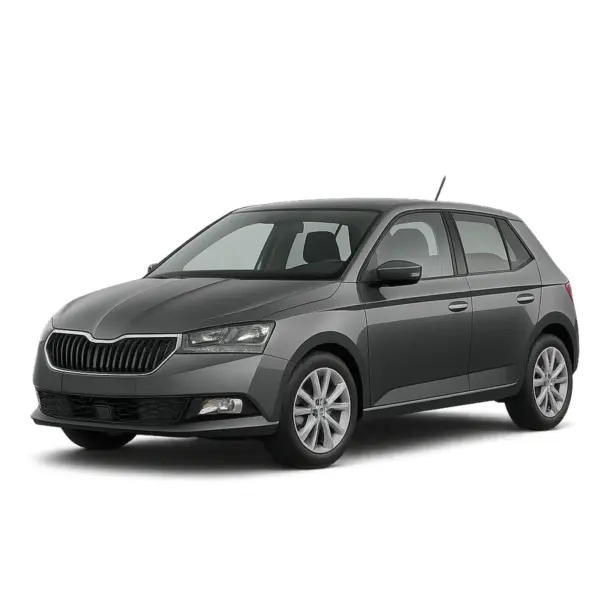 Dakdragers voor Skoda Fabia