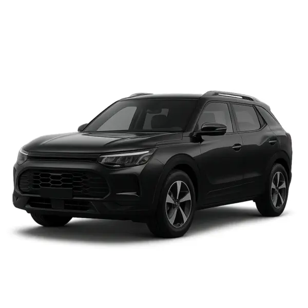 Dakdragers voor SsangYong CLV
