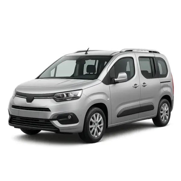 Dakdragers voor Toyota Proace City Verso
