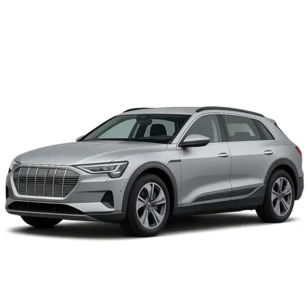 Audi E-Tron dakdragers