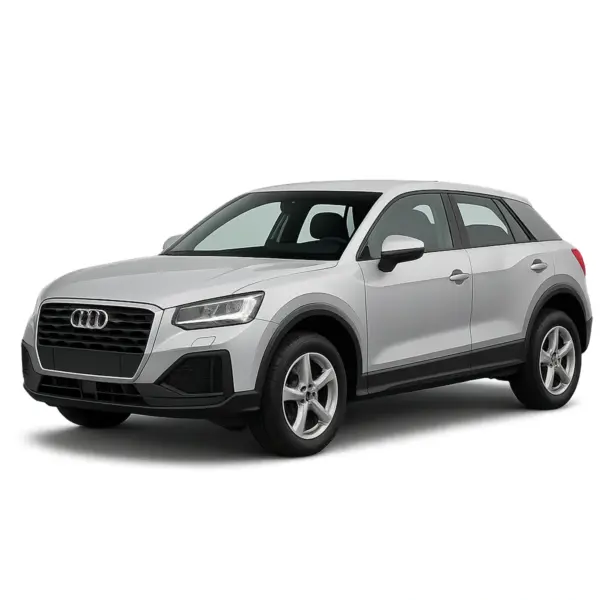 Audi Q2 dakdragers