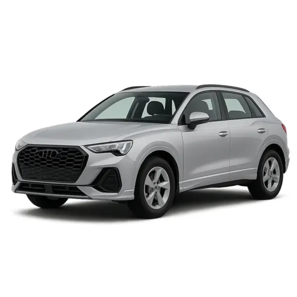 Audi Q3 dakdragers