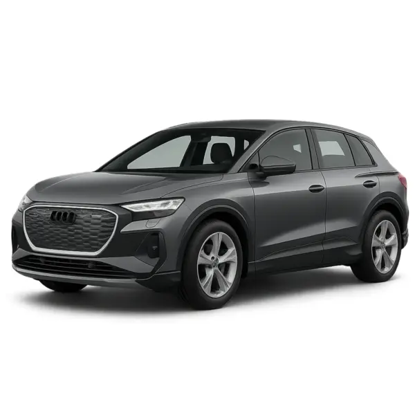 Audi Q4 dakdragers