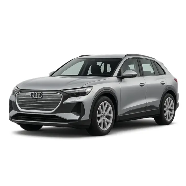 Audi Q6 dakdragers